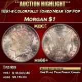 1891-s Morgan Dollar Colorfully Toned Near Top Pop $1 ms66+ SEGS