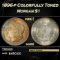 1896-p Morgan Dollar Colorfully Toned $1 Grades ms66