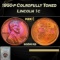 PCGS 1950-p Lincoln Cent Colrofully Toned 1c ms64 rb PCGS