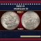 1902-o Morgan Dollar $1 Grades ms62+