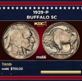 1929-p Buffalo Nickel 5c Grades ms66