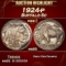 1924-p Buffalo Nickel 5c ms65 SEGS
