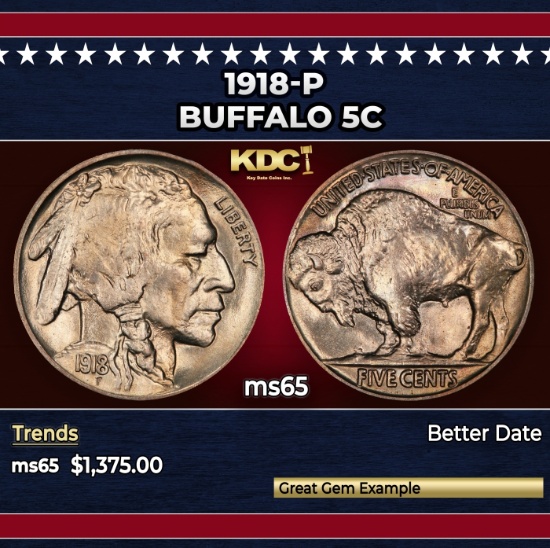 1918-p Buffalo Nickel 5c ms65 SEGS