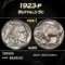 1923-p Buffalo Nickel 5c Grades ms65