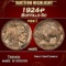 1924-p Buffalo Nickel 5c ms65 SEGS