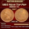 1893 Proof Indian Cent Near Top Pop 1c pr67 rb SEGS