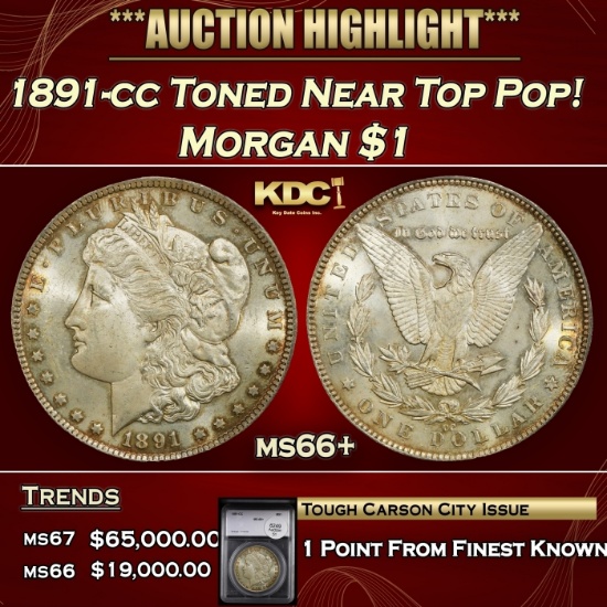 1891-cc Morgan Dollar Toned Near Top Pop! $1 ms66+ SEGS