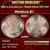 1891-s Morgan Dollar Colorfully Toned Near Top Pop $1 ms66+ SEGS