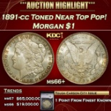 1891-cc Morgan Dollar Toned Near Top Pop! $1 ms66+ SEGS