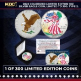 2025 Colorized Limited Editon 1oz Silver Eagle Coin, Limited to 300. Type 2. Other Toy