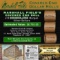 CII- Rare Morgan UNC MARSHALL FIELDS 10 $1 Roll Green Level