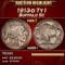 1913-d Ty I Buffalo Nickel 5c ms66+ SEGS