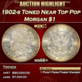 1902-s Morgan Dollar Toned Near Top Pop $1 ms66+ SEGS