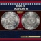 1899-o Morgan Dollar $1 Grades ms64+