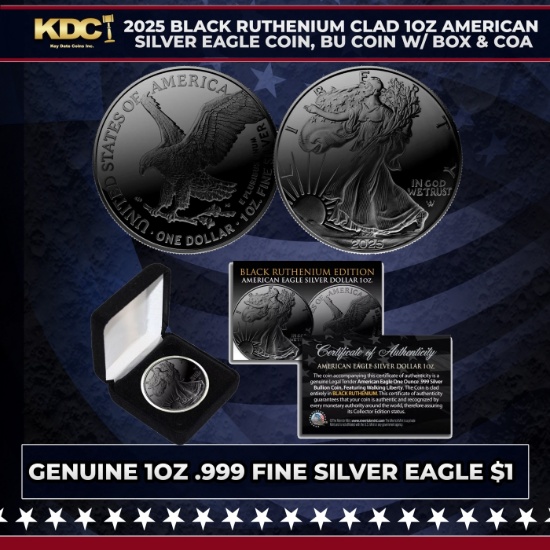 2025 Black Ruthenium Clad 1oz American Silver Eagle Coin, BU Coin w/ Box & COA Other Toy