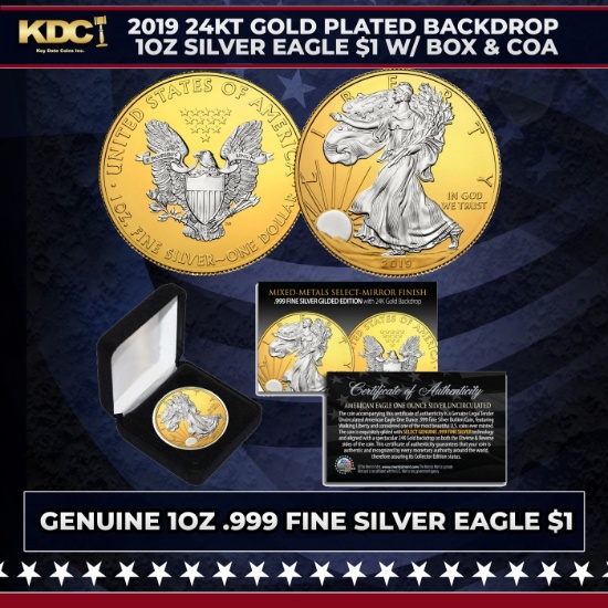2019 24KT Gold Plated Backdrop 1oz Silver Eagle $1 w/ Box & COA Other Toy