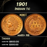 1901 Indian Cent 1c Grades ms65+ RB
