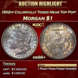 1902-p Morgan Dollar Colorfully Toned Near Top Pop! 1 ms66+ SEGS