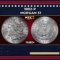1882-p Morgan Dollar $1 Grades ms62+