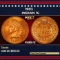 1903 Indian Cent . 1c Grades ms65 rd