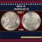 1904-o Morgan Dollar $1 Grades ms64