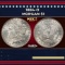 1884-o Morgan Dollar $1 Grades ms62+