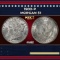 1900-p Morgan Dollar $1 Grades ms62