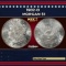 1902-o Morgan Dollar $1 Grades ms64+