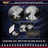 2024 Black Ruthenium Gilded Silhouette 1oz American Silver Eagle Coin, BU Coin w/ Box & COA Other To
