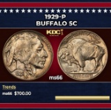 1929-p Buffalo Nickel 5c Grades ms66