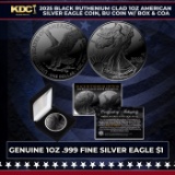 2025 Black Ruthenium Plated 1oz American Silver Eagle Coin, BU Coin w/ Box & COA Other Toy