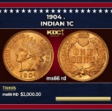 1904 Indian Cent . 1c ms66 rd SEGS