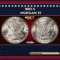 1881-s Morgan Dollar $1 Grades ms64