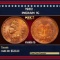 1902 Indian Cent . 1c Grades ms65 rb