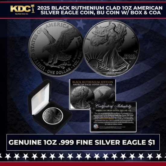 2025 Black Ruthenium Plated 1oz American Silver Eagle Coin, BU Coin w/ Box & COA Other Toy