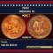 1902 Indian Cent . 1c Grades ms65 rb