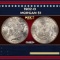 1902-o Morgan Dollar $1 Grades ms63+