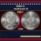 1899-o Morgan Dollar $1 Grades ms64