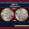 1884-o Morgan Dollar $1 Grades ms64