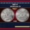 1881-p Morgan Dollar $1 Grades ms62