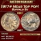 1917-p Buffalo Nickel Near Top Pop! 5c ms67 SEGS