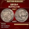 1919-p Buffalo Nickel 5c ms65+ SEGS