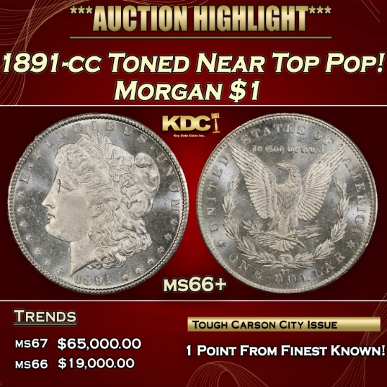 1891-cc Morgan Dollar Toned Near Top Pop! $1 ms66+ SEGS