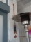 Painted Oars