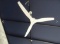 White Ceiling Fans