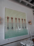 Large Swim Picture