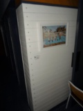 Shiplap in Ladys Room
