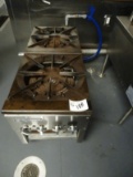 Radiance Double Pot Stove
