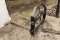 Skid Steer Forklift Attachment