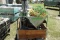 inoComb M4G Basic Line Pump